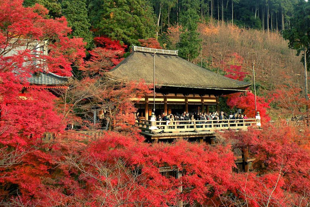 Vila Rin Kyoto Kinkaku-Ji Temple Exteriér fotografie